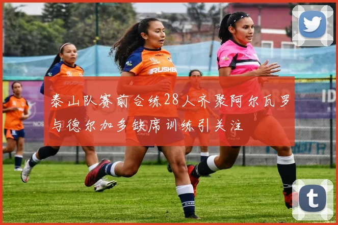泰山队赛前合练28人齐聚阿尔瓦罗与德尔加多缺席训练引关注